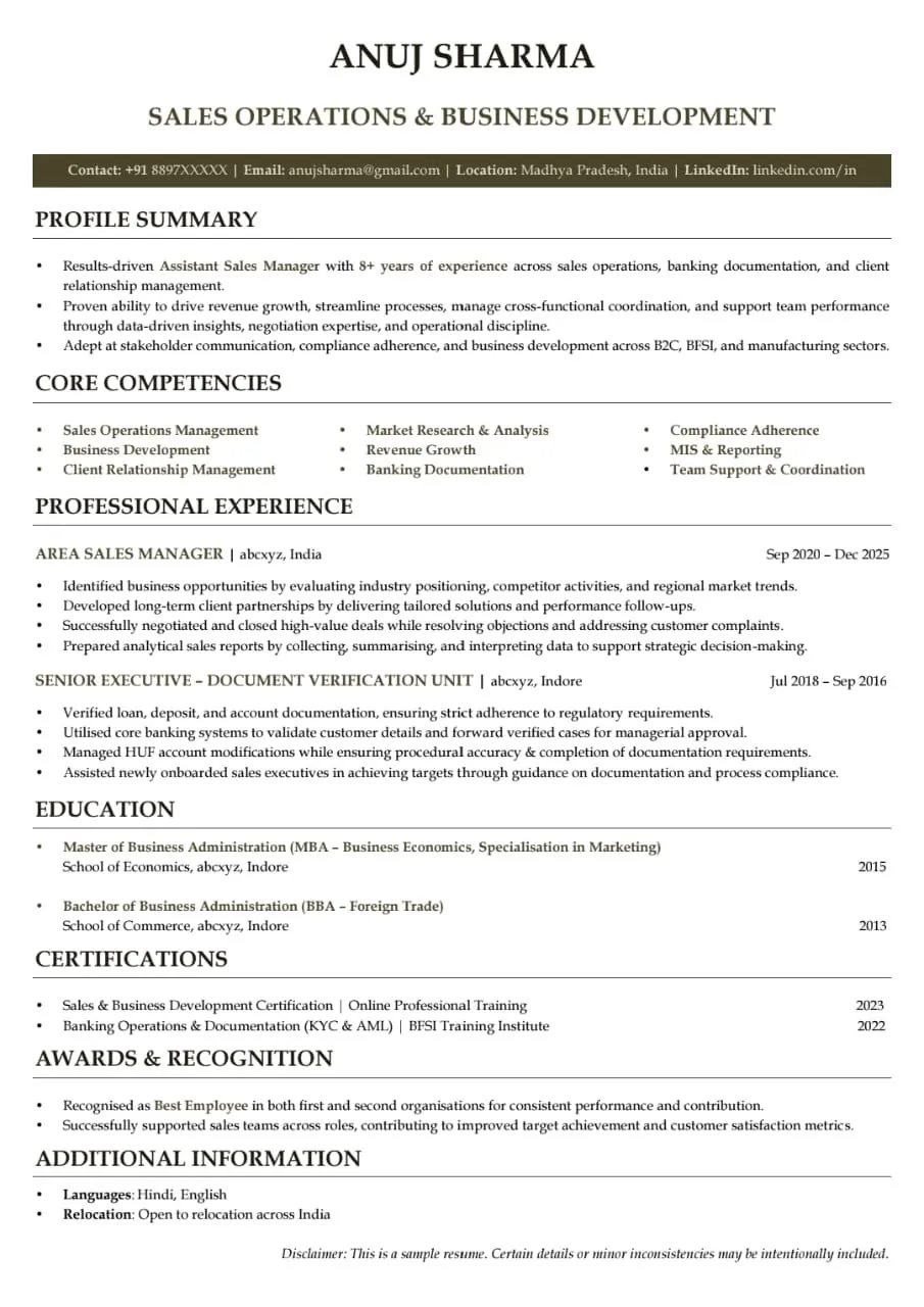 ATS-friendly resume template, Resume 8
